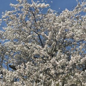 Meet your Posher, Audrey